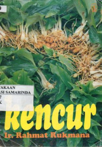 Image of Kencur